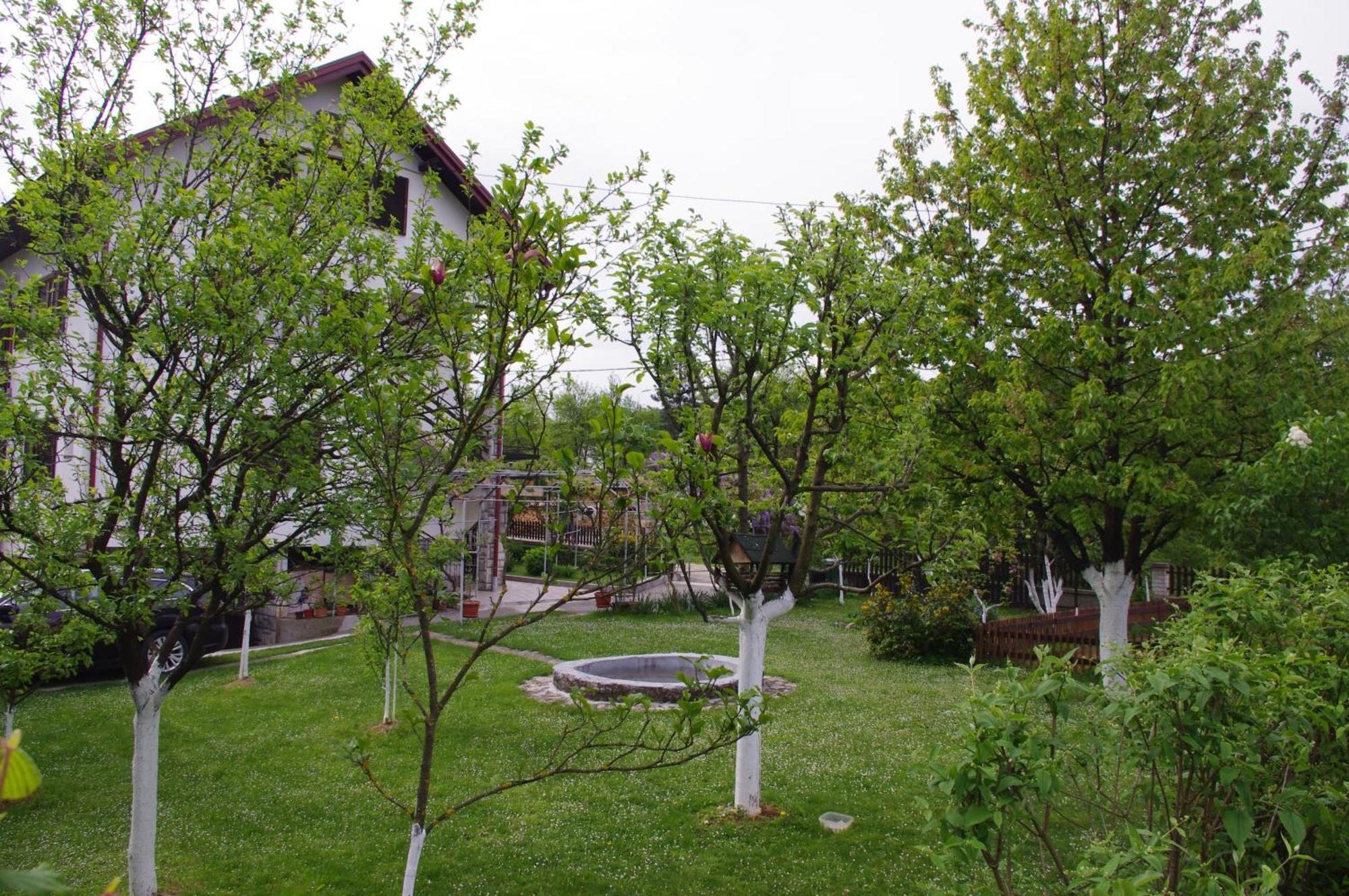 Apartment Tomy Слунь Екстер'єр фото