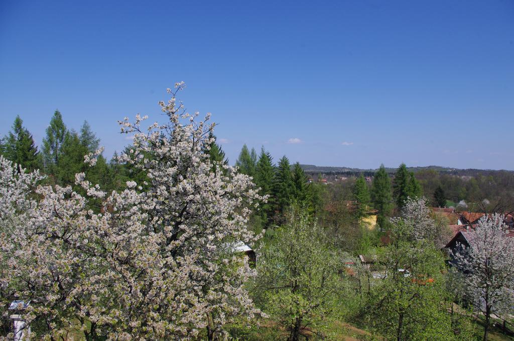 Apartment Tomy Слунь Екстер'єр фото
